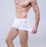 Breathable Mesh Men's Boxer