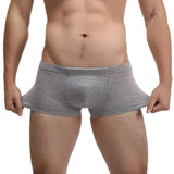 Titan Boxer Briefs